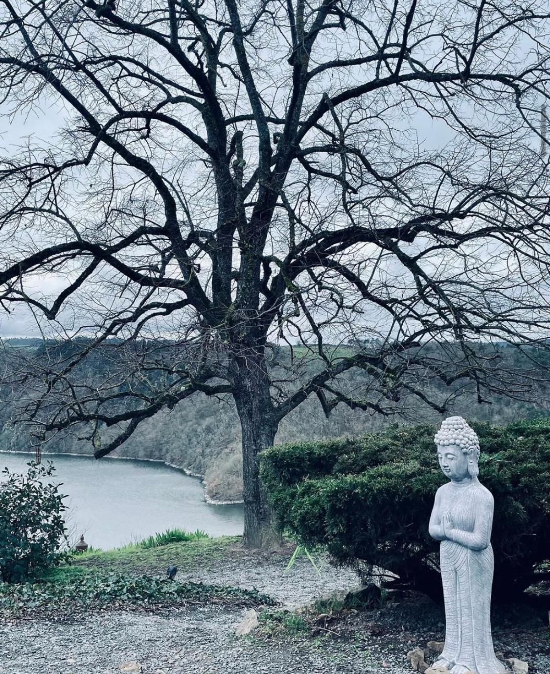 Les Yourtes O Fil 2 L'Eau Saint-Jean-Saint-Maurice-sur-Loire Eksteriør billede